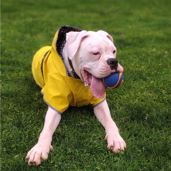 Meet your posher ❤️❤️❤️🍷☺️ - Picture 7 of 11